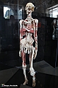 VBS_2835 - Mostra Body Worlds
